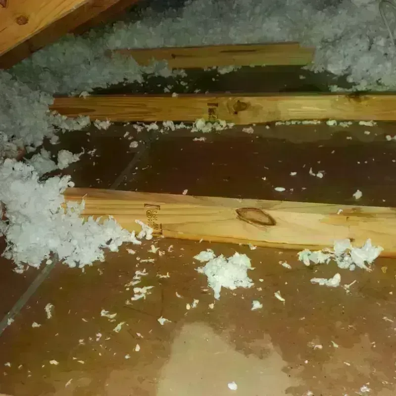 Attic Water Damage in Randolph County, MO